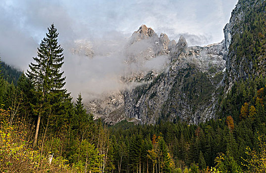 山,国家公园,巴伐利亚,德国,大幅,尺寸
