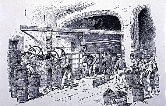 特写,葡萄酒厂,雕刻,19世纪