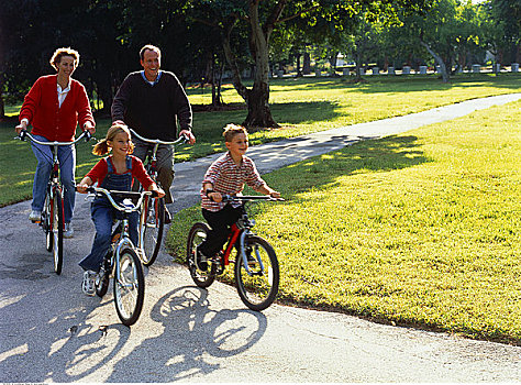 家庭,骑,自行车,道路,公园