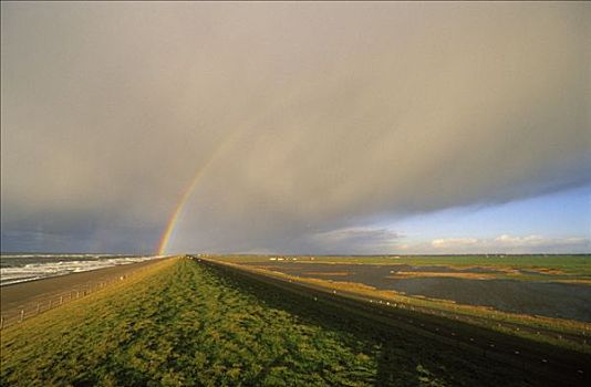 沿岸,云,彩虹,荷兰