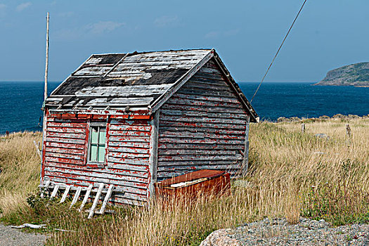 房子,小湾,纽芬兰,拉布拉多犬,加拿大