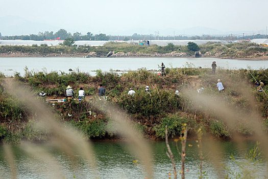 付疃河湿地公园成垂钓乐园,市民挥杆垂钓乐享假期