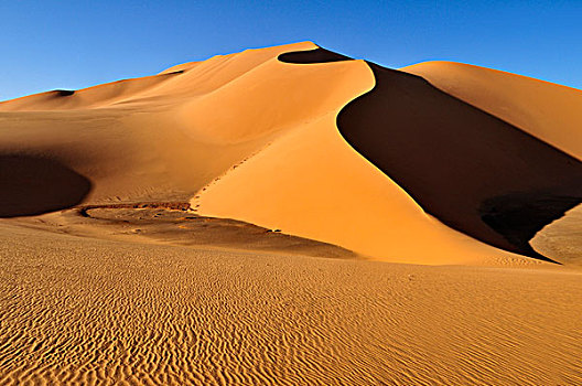 沙丘,阿尔及利亚,撒哈拉沙漠,北非