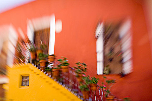 北美,墨西哥,瓜纳华托,彩色,楼梯,房子,盆栽