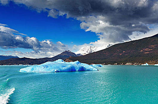 湖,浮冰,巴塔哥尼亚,阿根廷