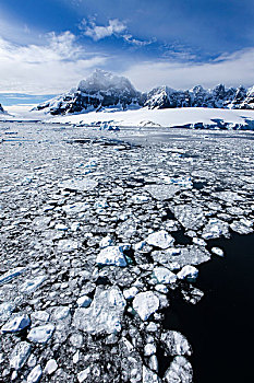 南极,港口,朝日,海冰,结冰,山峰,南极半岛