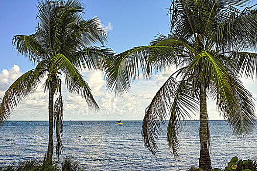 比斯坎湾,迈阿密,佛罗里达,美国