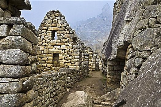 街道,通过,古遗址,马丘比丘,库斯科地区,秘鲁