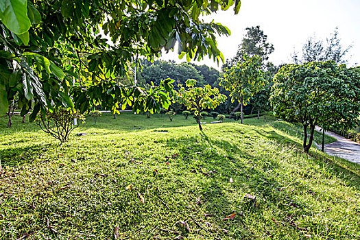 深圳笔架山公园