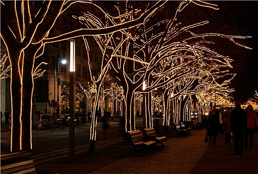 柏林,菩提树,树,圣诞节