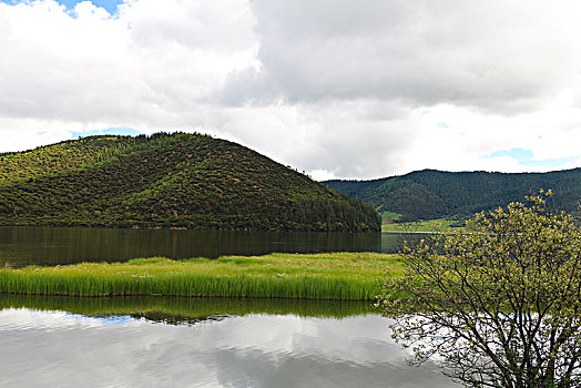 香格里拉普达列国家森林公园