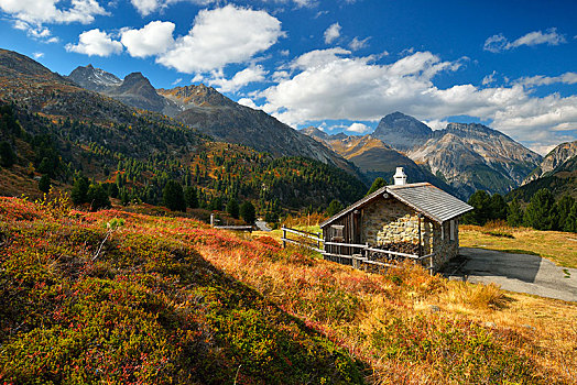山景,山区木屋,秋天,瑞士,欧洲