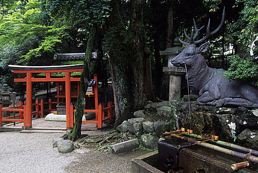 日本,奈良,神祠,神社,鸟居,喷泉