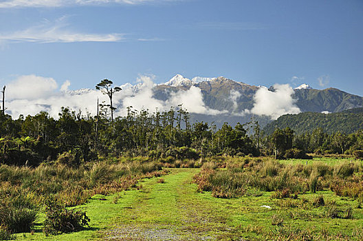 南阿尔卑斯山,靠近,河,西海岸,南岛,新西兰