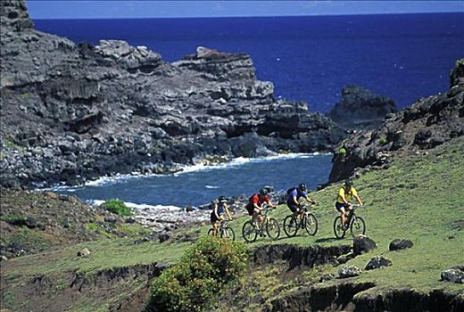 夏威夷,毛伊岛,山地车手,自行车,上坡,海岸