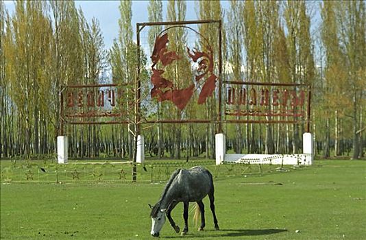 马,正面,老,标语,区域,哈萨克斯坦