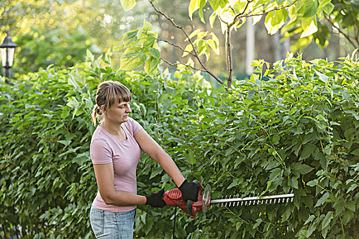 女人,植物,树篱,剪刀,院子