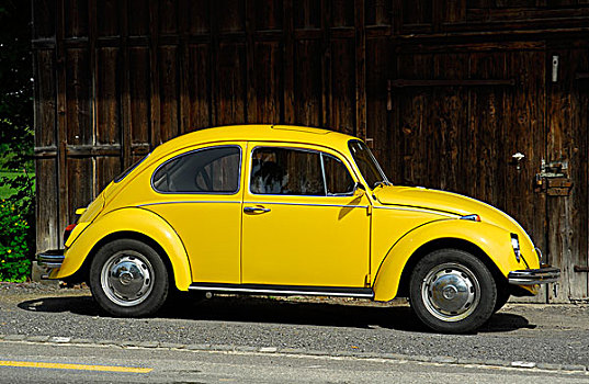 黄色,大众汽车,甲壳虫汽车