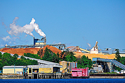 纸浆厂,不列颠哥伦比亚省,加拿大