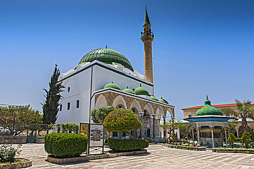 清真寺,院落,样板,土耳其,建筑,老,英亩,以色列