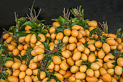 泰国清迈古城里的水果市场---小芒果