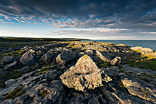 岩石,风景,靠近,莫赫悬崖,爱尔兰