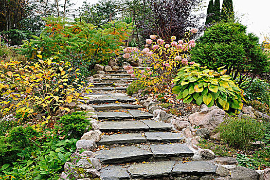 弯曲,飞行,浅,石头,台阶,秋天,园艺植物