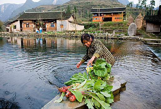 农妇在河边洗菜