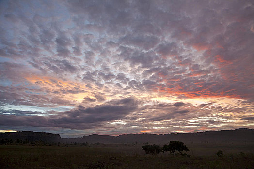 日落,上方,草地,国家公园,区域,马达加斯加,非洲
