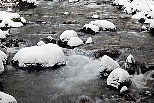 哥伦比亚河峡谷国家风景区,俄勒冈,美国,雪,遮盖,石头,溪流