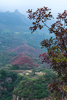 太行山秋日风光