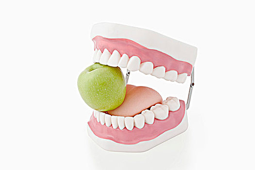 模型,牙齿,咬,苹果