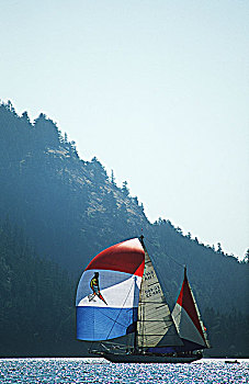 娱乐,航行,靠近,黄鹂,训练,帆船,温哥华岛,不列颠哥伦比亚省,加拿大