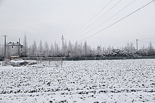 冬日雪景