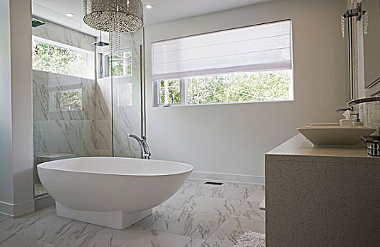 现代,室内设计,奢华,卫生间,浴室,玻璃,淋浴