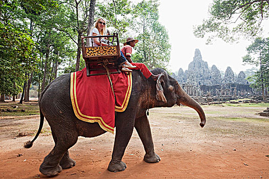柬埔寨,收获,吴哥窟,巴扬寺,游客,大象