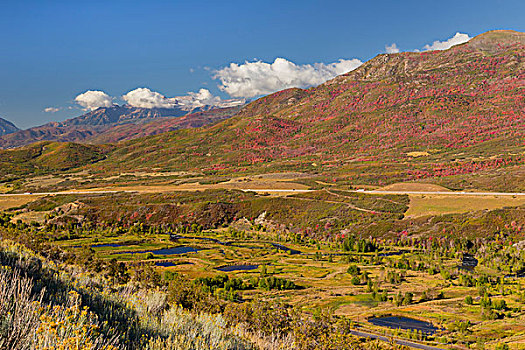 美国,犹他,山,州立公园,山景,画廊