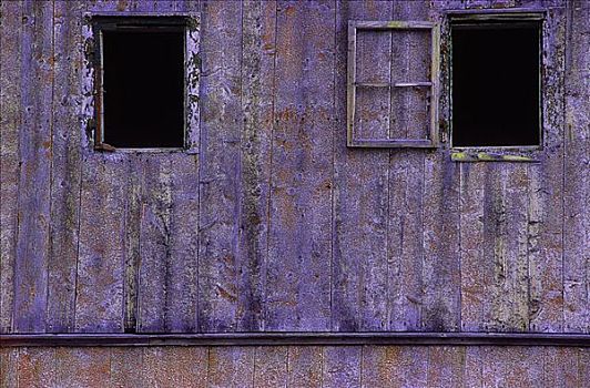 窗户,废弃,建筑,纽芬兰,拉布拉多犬,加拿大