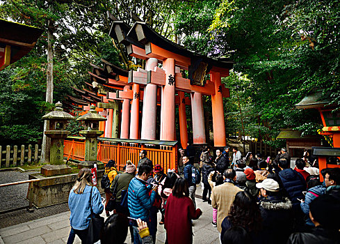 旅游,进入,小路,神祠,伏见稻荷大社,头部,伏见,京都,日本,亚洲