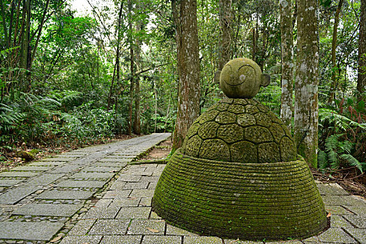 日月潭山路