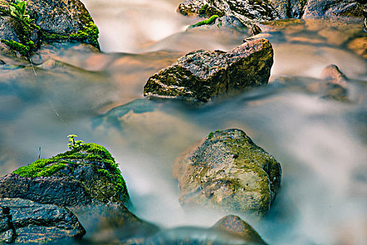 溪流中的石头