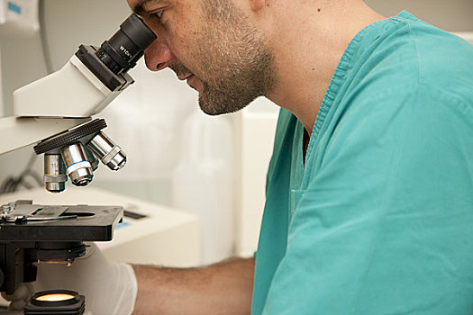 实验室人员,看,显微镜