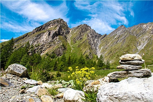 石头,阿尔卑斯山