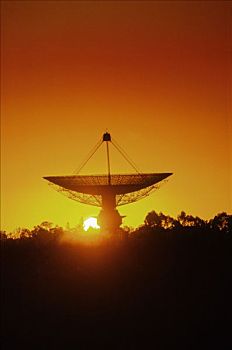 射电望远镜,卫星,接收,盘子,日落,剪影