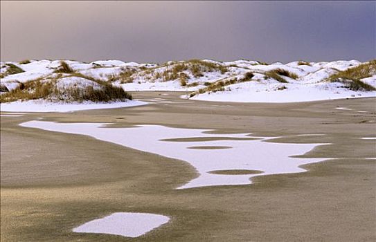 积雪,沙丘,特塞尔,一个,瓦登岛,荷兰