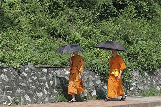 僧侣,琅勃拉邦,老挝,亚洲