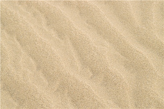 沙子,波纹