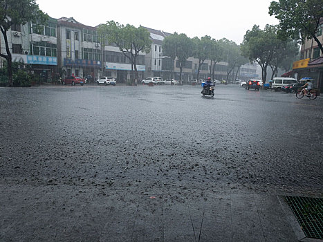 梅雨,防台防汛