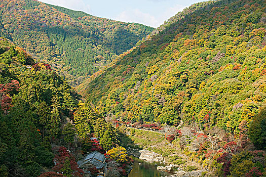 山谷,河,岚山,京都,日本