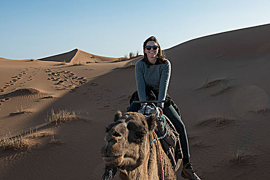 女人,骑,骆驼,沙丘,撒哈拉沙漠,摩洛哥
